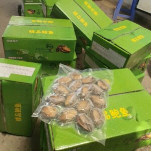 Bào ngư hàn quốc đông lạnh