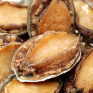 BÀO NGƯ ĐÔNG LẠNH SIZE 12 CON