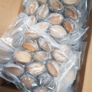 BÀO NGƯ ĐÔNG LẠNH SIZE 14 CON/KG ( NET 7)