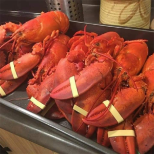 TÔM HÙM ALASKA HẤP